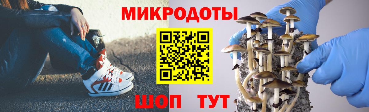 Галлюциногенные грибы Magic Shrooms Нефтекумск